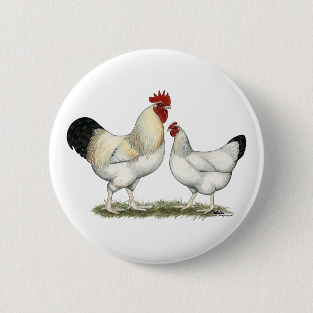 Indian River Chickens 6 Cm Round Badge (Front)