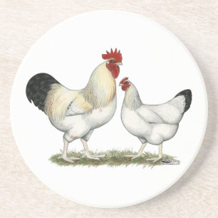 Indian River Chickens Coaster