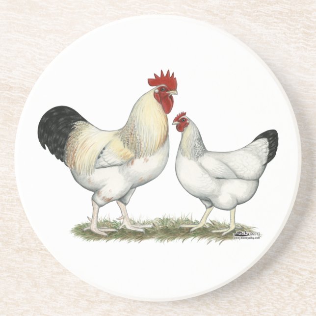 Indian River Chickens Coaster (Front)