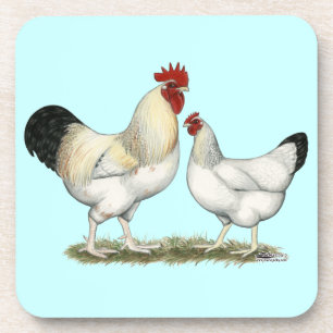 Indian River Chickens Coaster