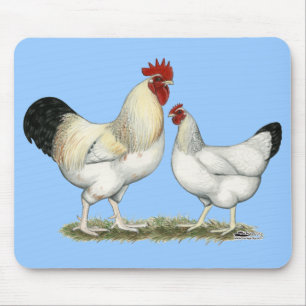 Indian River Chickens Mouse Pad