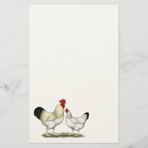 Indian River Chickens Stationery