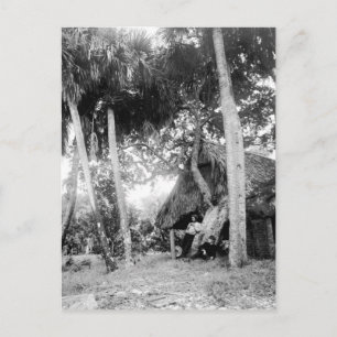 Indian River, Florida Getaway: 1890s Postcard