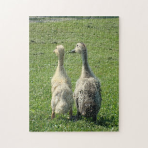 Indian Runner Ducklings Jigsaw Puzzle
