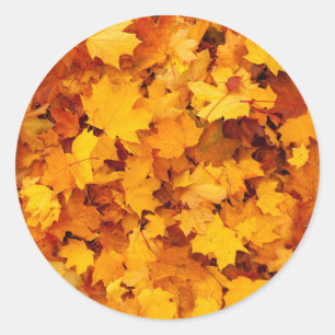 Indian Summer Golden Leaves Classic Round Sticker