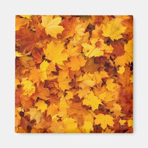 Indian Summer Golden Leaves Magnet