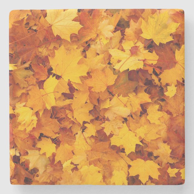 Indian Summer Golden Leaves Stone Coaster (Front)