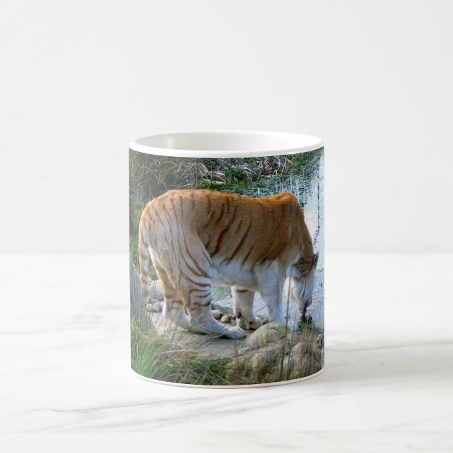 Indian Tiger animal Coffee Mug (Center)