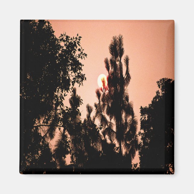 Indian Valley fire........ Magnet (Front)