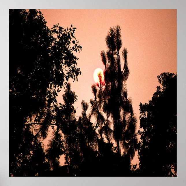 Indian Valley fire....... Poster (Front)