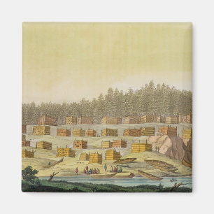 Indian Village, New Georgia, Alaska (colour engrav Magnet