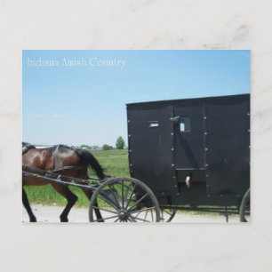 Indiana Amish Country Postcard