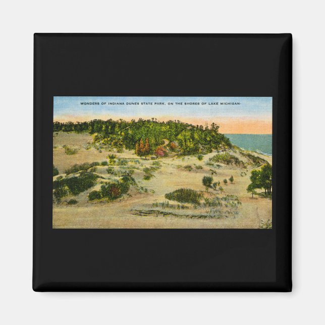 Indiana Dunes State Park Lake Michigan, Indiana Magnet (Front)