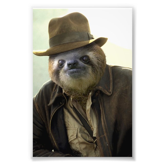 Indiana Sloth Photo Print (Front)