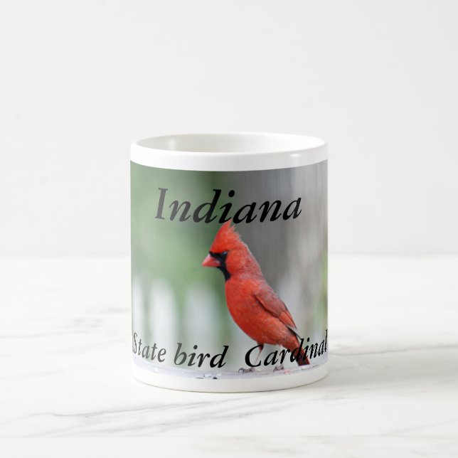 Indiana state bird photo mug (Center)