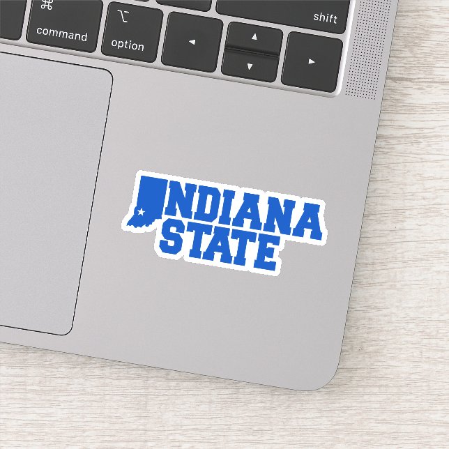 Indiana State Logo (Detail)