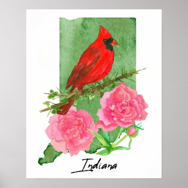 Indiana State Shape Hoosiers Cardinal Peonies  Poster (Front)