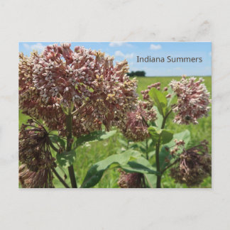 Indiana Summers Postcard