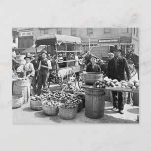 Indianapolis Vegetable Market, 1908 Postcard