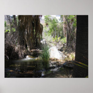 IndianCanyon (2) Poster