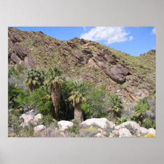 IndianCanyon (8) Poster