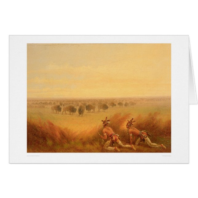 Indians Creeping up on a Herd of Buffalo (1907A) (Front Horizontal)