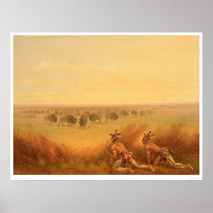 Indians Creeping up on a Herd of Buffalo (1907A) Poster