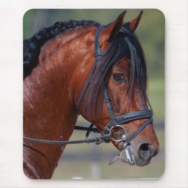 INDICO VII MOUSE PAD (Front)