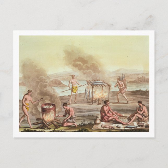 Indigenous natives from Florida preparing and cook Postcard (Front)