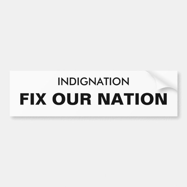 INDIGNATION FIX OUR NATION BUMPER STICKER (Front)