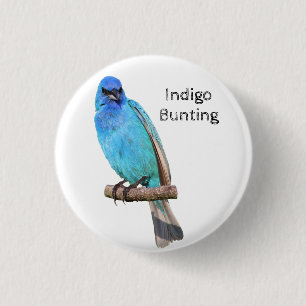 Indigo Bunting 3 Cm Round Badge