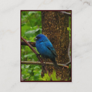 Indigo Bunting ATC Business Card