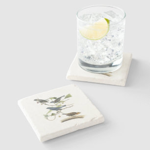 Indigo Bunting by Audubon Stone Coaster
