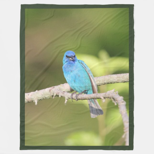 Indigo Bunting Fleece Blanket (Front)