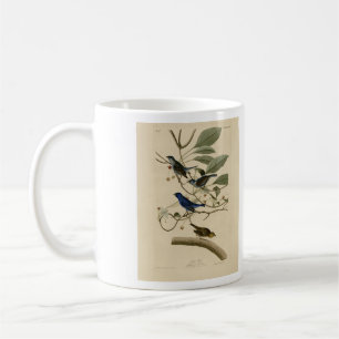 Indigo Bunting from Audubon's Birds of America Coffee Mug