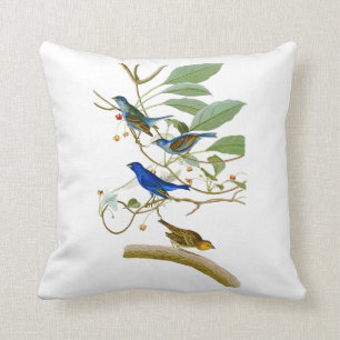 Indigo Bunting John James Audubon Birds of America Cushion