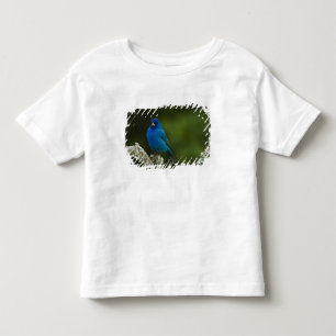 Indigo Bunting, Passerina cyanea, Coastal Toddler T-Shirt
