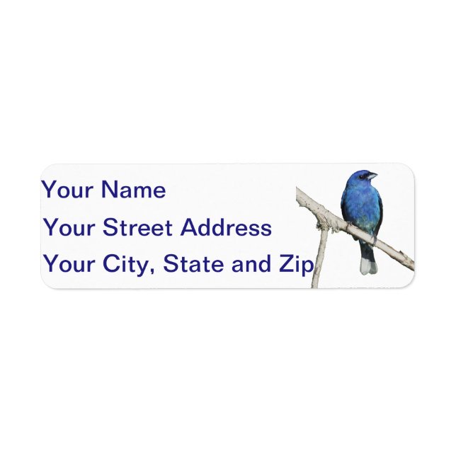Indigo Bunting Return Address Label (Front)