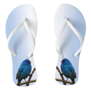 Indigo Buntings Flip Flops