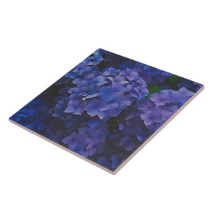 Indigo Hydrangea Dusk Decorative Ceramic Tile