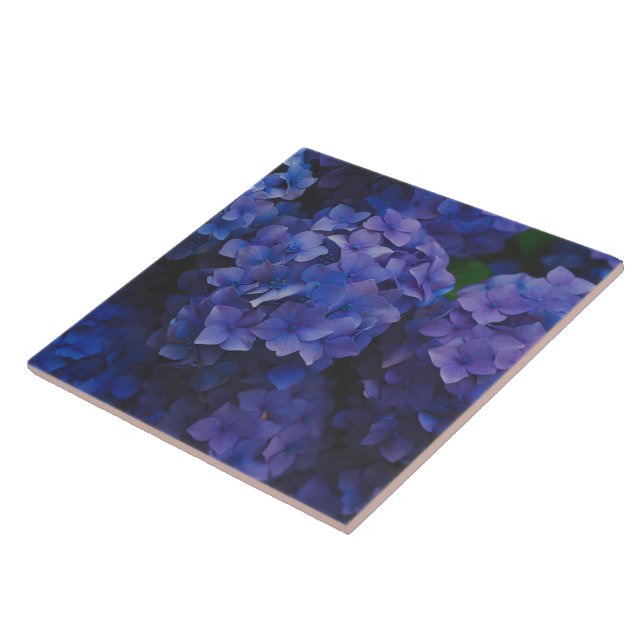 Indigo Hydrangea Dusk Decorative Ceramic Tile (Side)