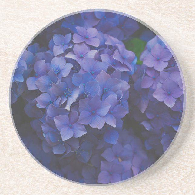 Indigo Hydrangea Dusk Sandstone Coaster (Front)