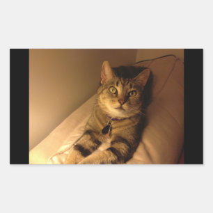 Indigo Model Pose Rectangular Sticker