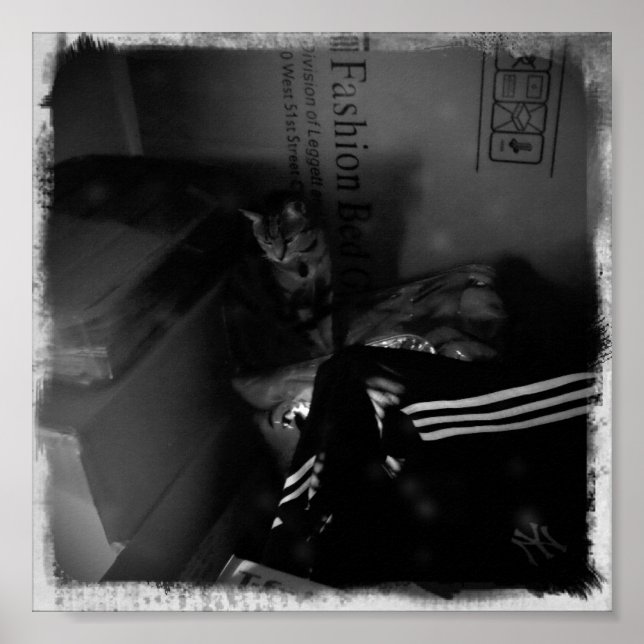 Indigo Moving Helper Poster (Front)