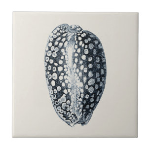 Indigo Seashell Ceramic Tile