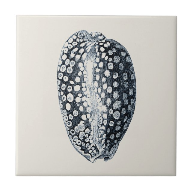 Indigo Seashell Ceramic Tile (Front)
