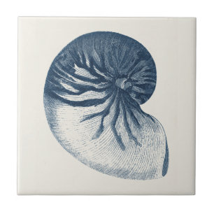 Indigo Shark Eye Seashell Ceramic Tile