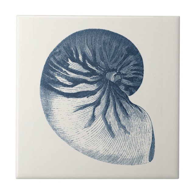 Indigo Shark Eye Seashell Ceramic Tile (Front)