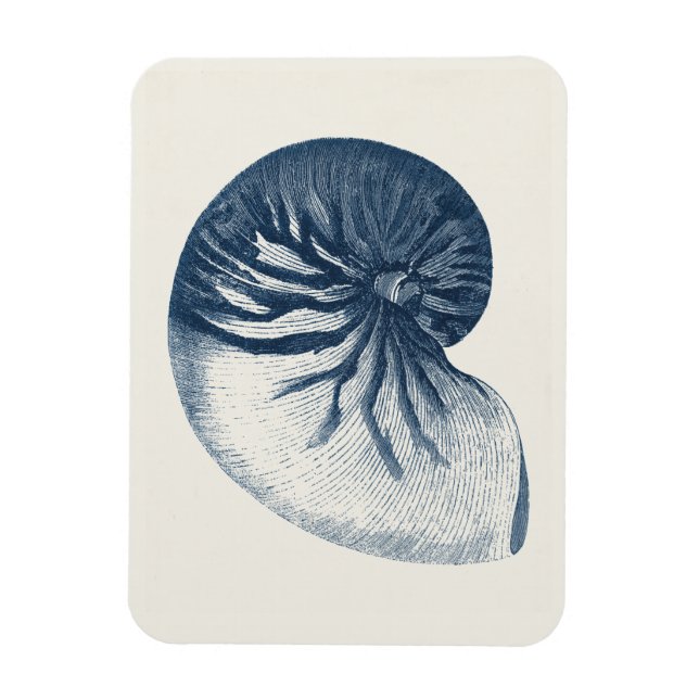 Indigo Shark Eye Seashell Magnet (Vertical)
