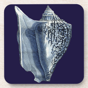 Indigo Shells I Coaster